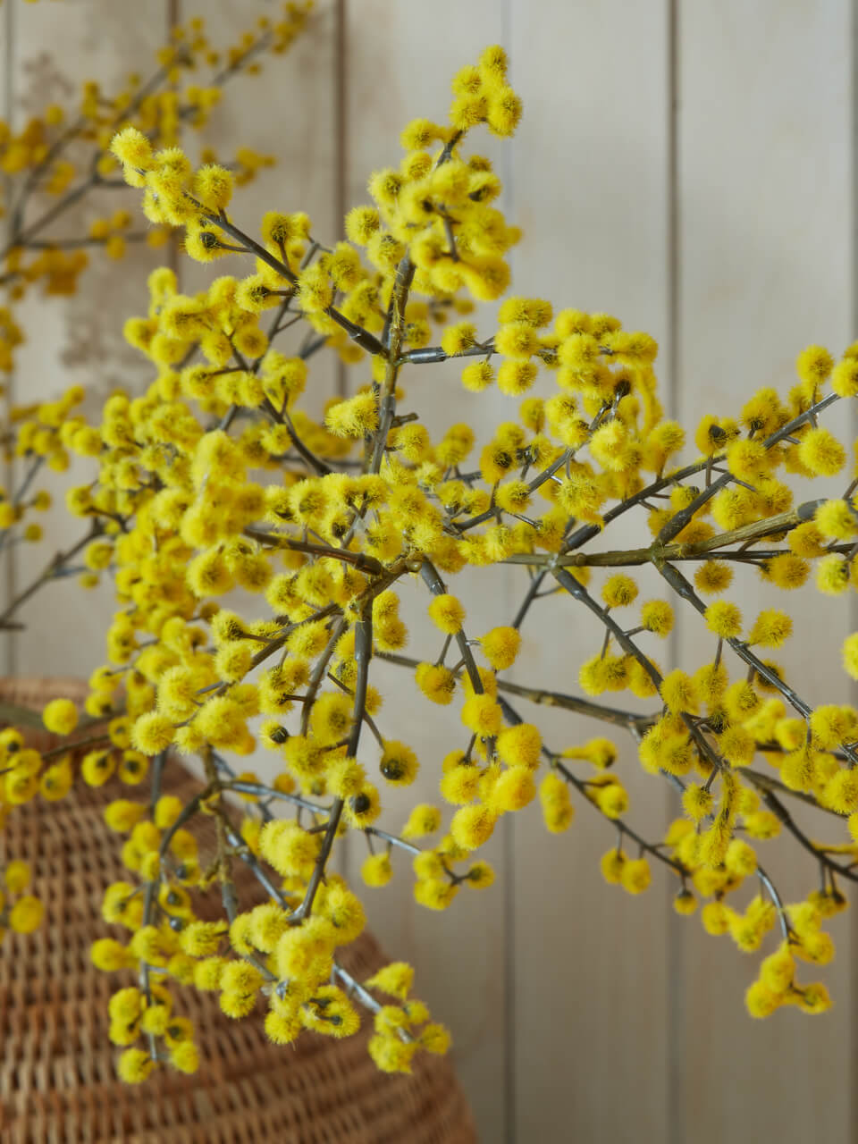 Faux Mimosa Branch Stem