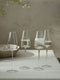 Champagne Glasses