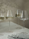Wine Glasses