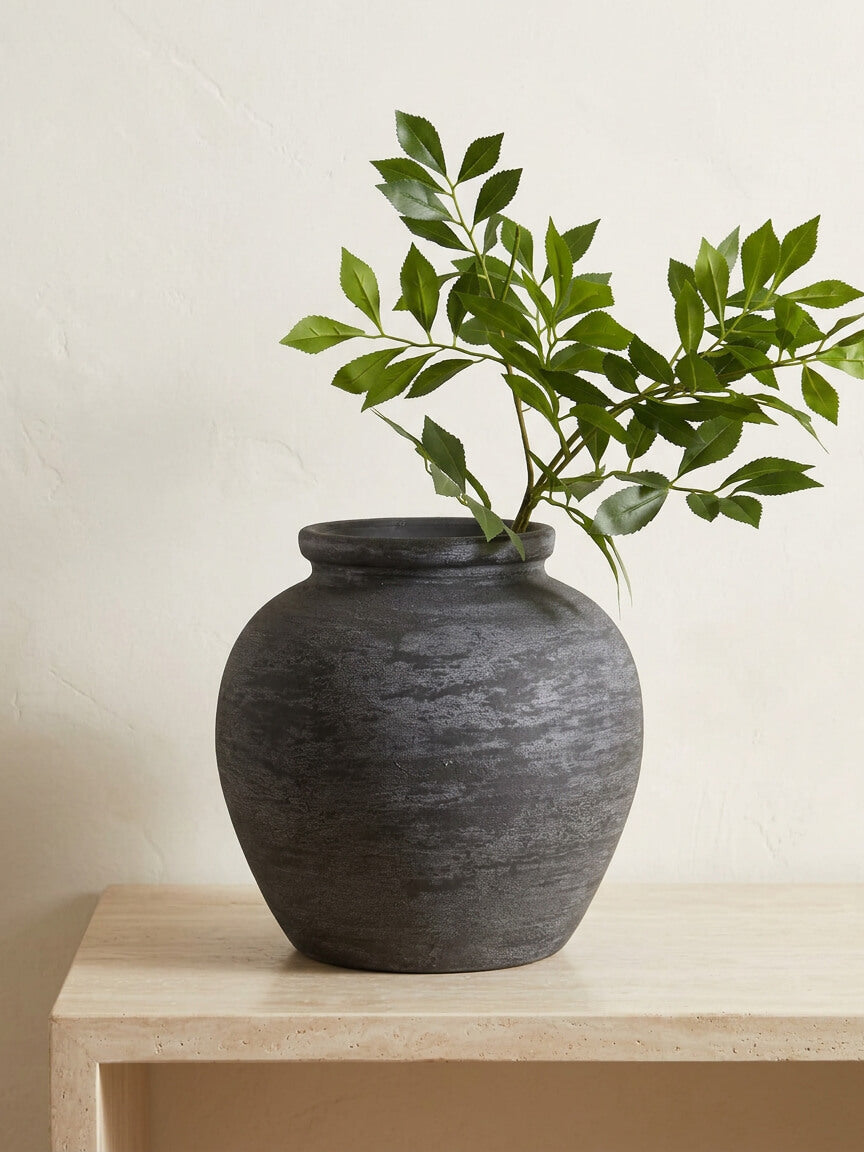 Black vase with green plant on a wooden surface against a light background
