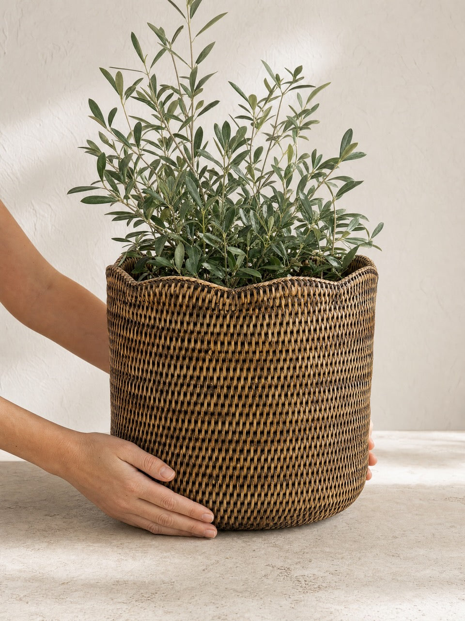 A person's hands holding a round, woven brown basket planter with a scalloped rim, filled with a green leafy plant, against a neutral beige background.