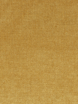 A close-up of a textured fabric or material swatch in a warm mustard yellow color.