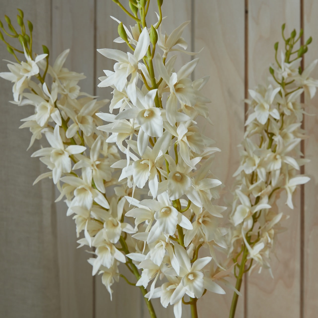 Faux White Singapore Orchid